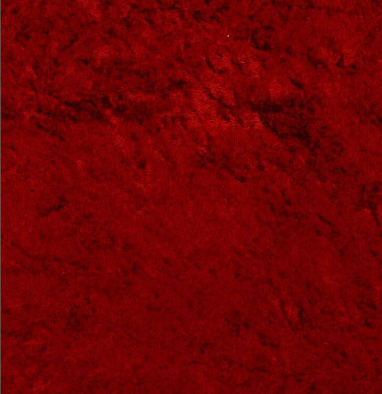 Velvet pocket scarf camera strap in Red